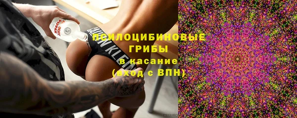 Альфа ПВП Шали