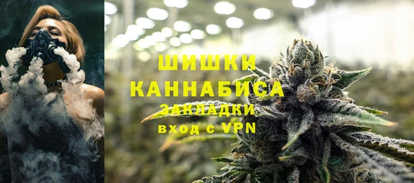 крисы Карпинск