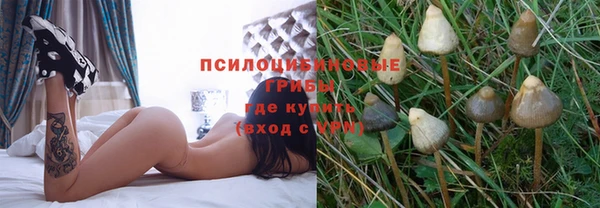 крисы Карпинск