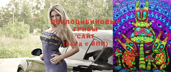 хмурый Карталы