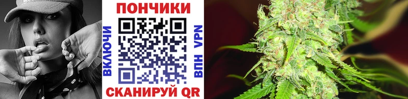 мега где можно купить наркотик Дзержинск Конопля White Widow
